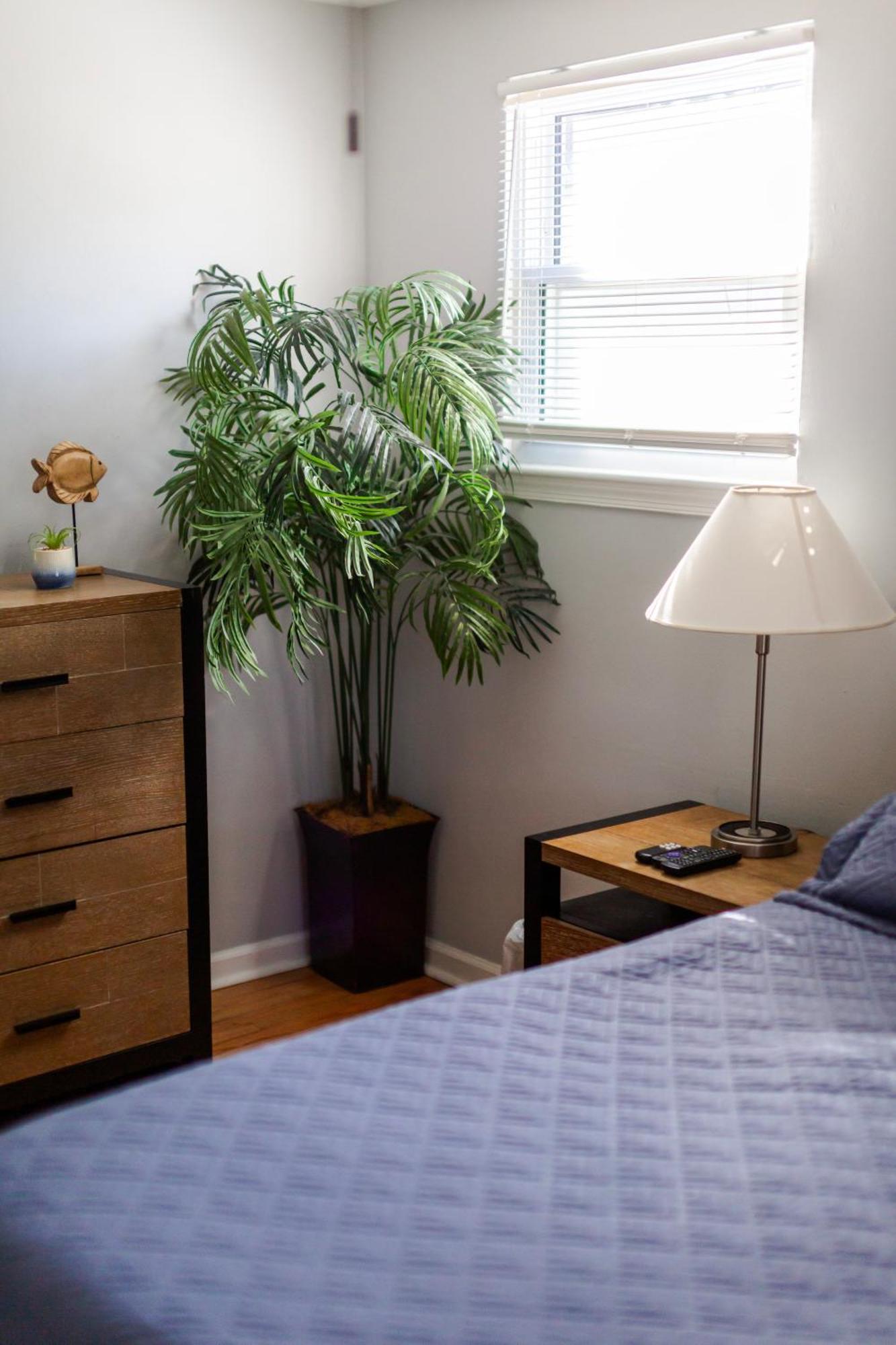 Fantastic 3Br Close To Botanical Gardens And Airport 노퍽 외부 사진