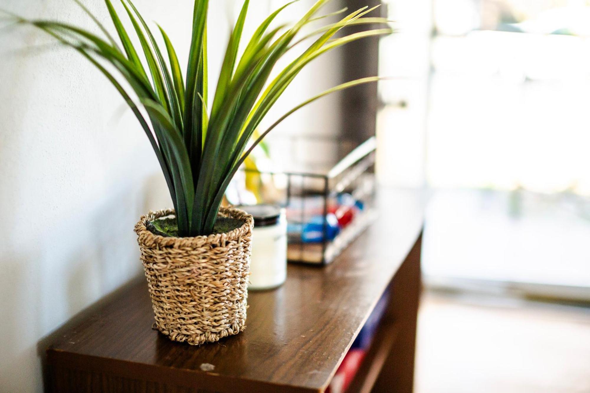 Fantastic 3Br Close To Botanical Gardens And Airport 노퍽 외부 사진