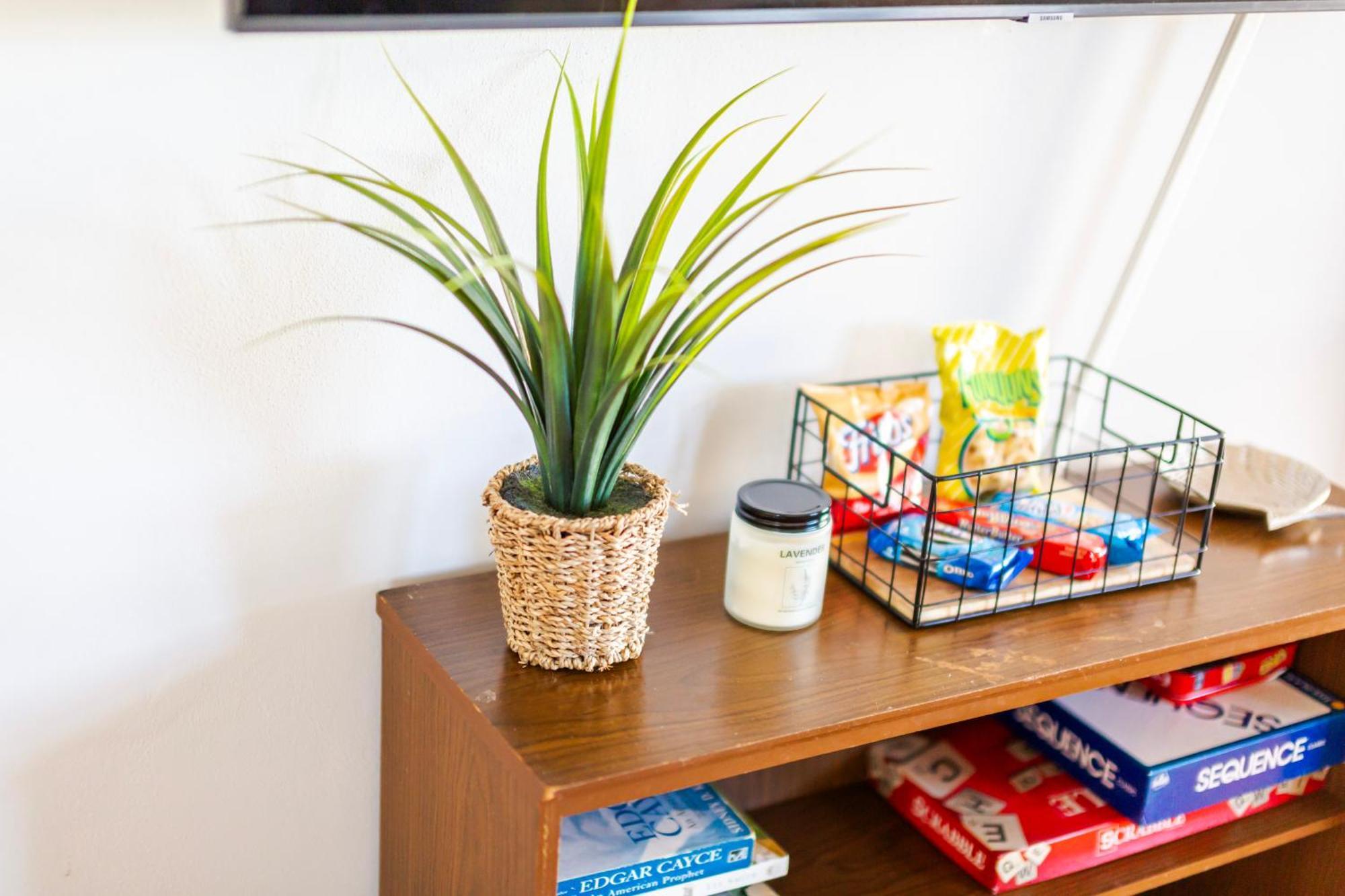 Fantastic 3Br Close To Botanical Gardens And Airport 노퍽 외부 사진